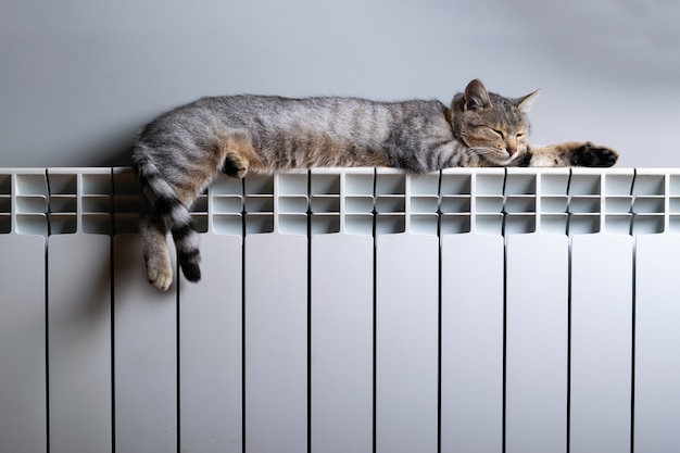 Un gato tigre descansando en un radiador caliente