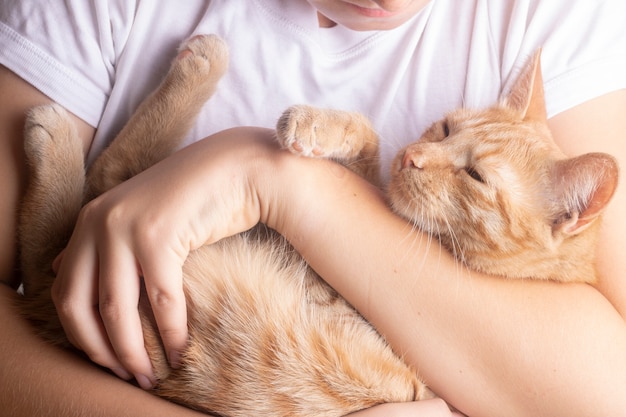 Gato vermelho dormindo nas mãos de um menino, segurando um gatinho ruivo