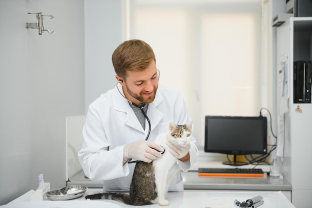 Gato visitando veterinario para chequeo regular