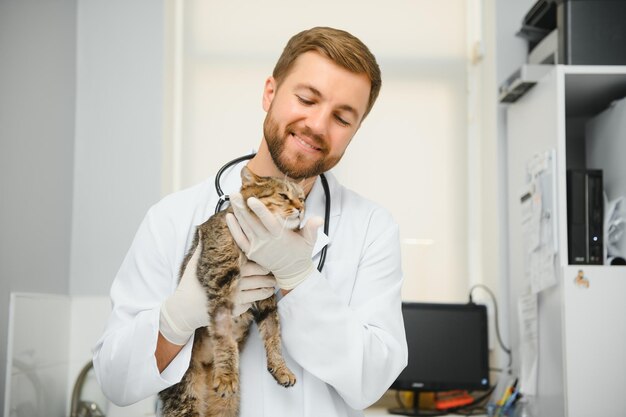 Gato visitando veterinário para check-up regular