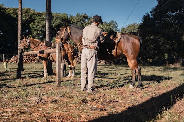 Gaúcho argentino com cavalos em traje de trabalho, com calcinha e boina gaúcha, tradicional cena argentina.