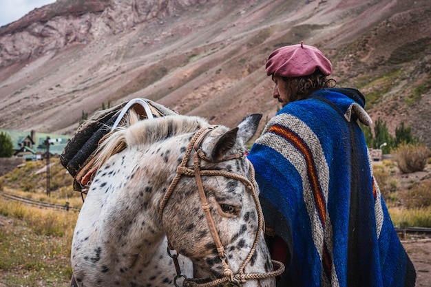 Gaúcho argentino com seus cavalos