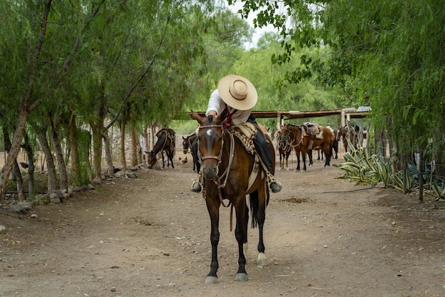 Gaúcho argentino de Mendoza acariciando seu cavalo pronto para galopar