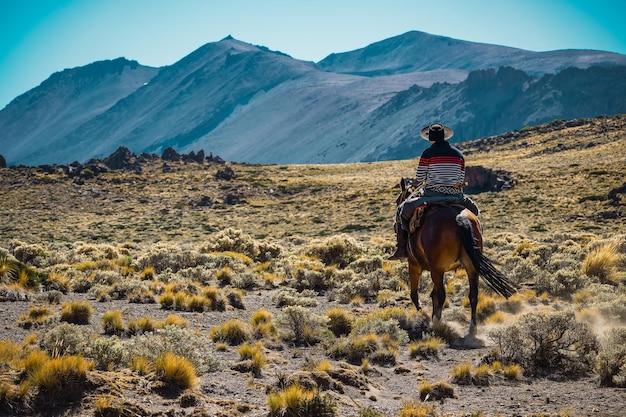 Gaucho a caballo en la Patagonia Argentina