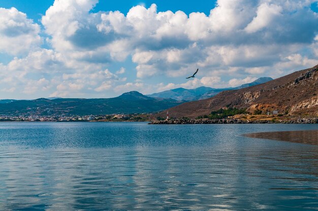 Gaviota volando sobre el mar y las montañas en el fondo