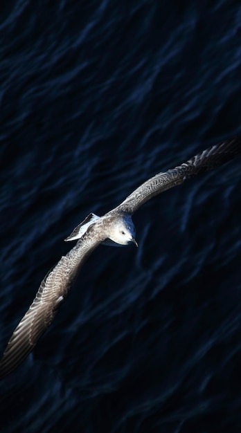 Gaviota volando sobre el mar