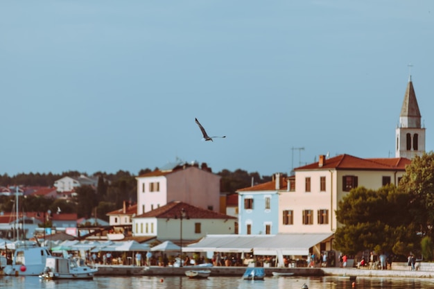 Gaviota volando sobre el puerto de una pequeña ciudad