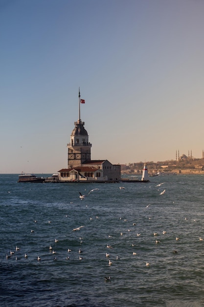 Gaviotas volando en el cielo alrededor de la torre Maiden en Estambul