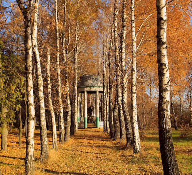 Gazebo y árboles otoñales en el parque.