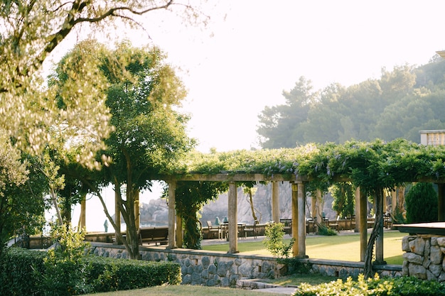 Gazebo comprido no pátio da villa milocer montenegro