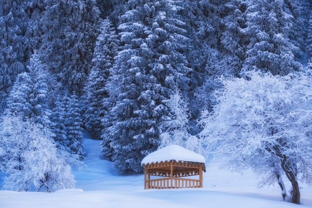 Foto gazebo de madeira aconchegante em uma floresta coberta de neve nas montanhas de inverno depois de uma queda de neve