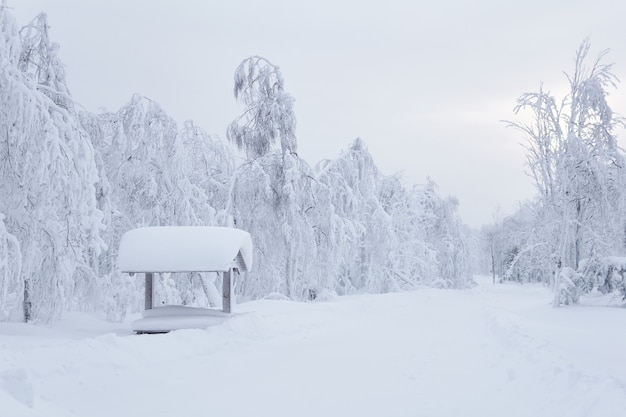 Gazebo de madeira coberto de neve com mesa de piquenique em um monte de neve após uma forte nevasca em um parque de inverno gelado