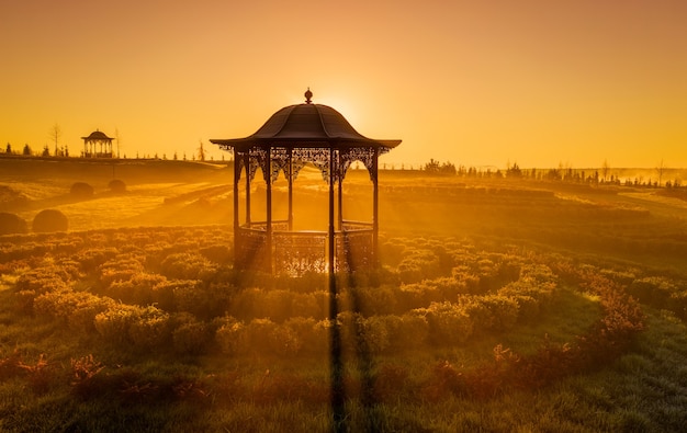 Gazebo do parque no meio do nevoeiro ao amanhecer