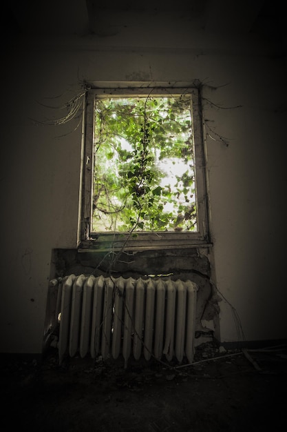 Foto gazebo im zimmer