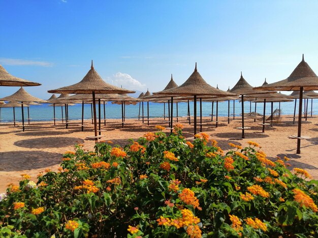 Gazebo pelo mar contra o céu