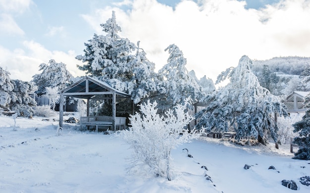 Gazebo para relajarse en un bosque nevado en las montañas.