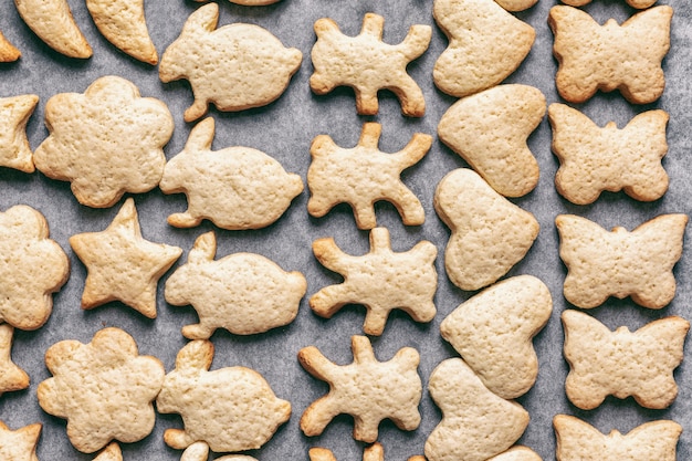 Gebackene hausgemachte Kekse in Form von verschiedenen Tieren auf Pergamentpapier, Weihnachts- oder Neujahrsleckereien, Draufsicht