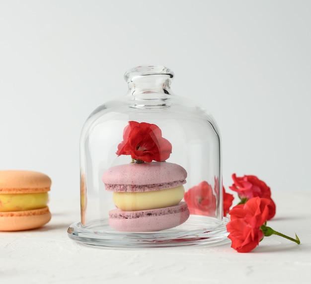 Gebackene lila Macarons liegen unter einem transparenten Glas auf weißem Hintergrund, köstliches Dessert