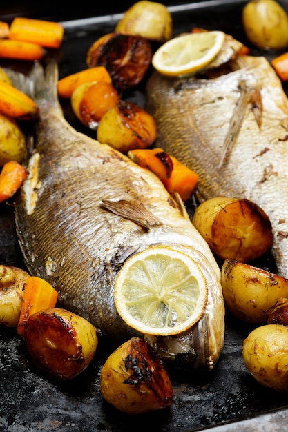 Gebackener Dorado-Fisch mit Gemüse