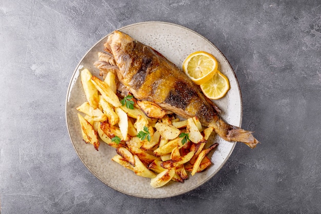 Gebackener Wolfsbarsch oder Lingcod Fisch mit Kartoffeln auf einem Teller und grauem Hintergrund Draufsicht