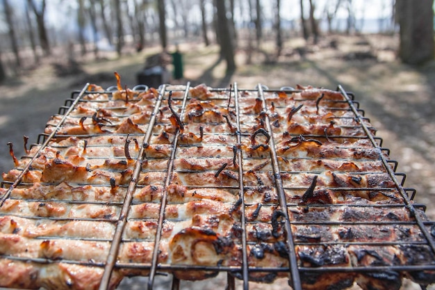 Gebackenes Hühnerfleisch auf einem Grill in der Natur