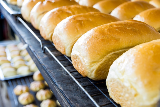 Gebackenes Weißbrot in der Behälterbäckerei.