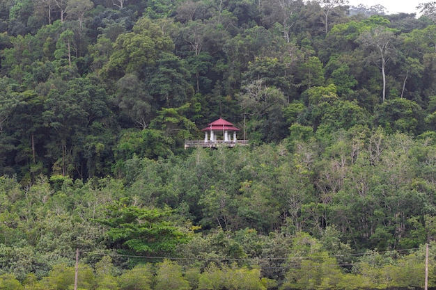 Gebäude im Wald auf dem Berg.