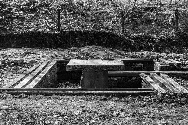 Foto gebautes gebäude gegen bäume