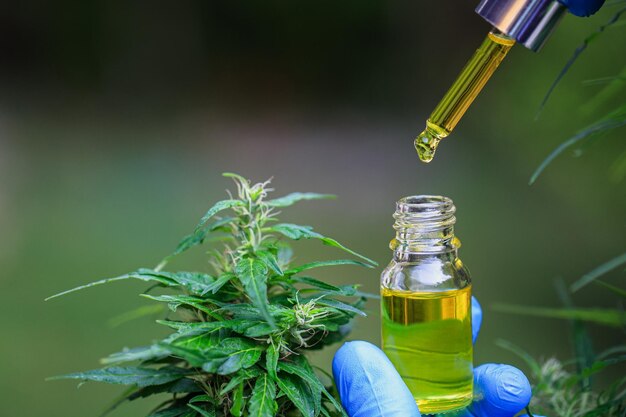 Foto geben sie cannabisöl in eine glasflasche. organisches hanföl konzept der pflanzlichen alternativen medizin