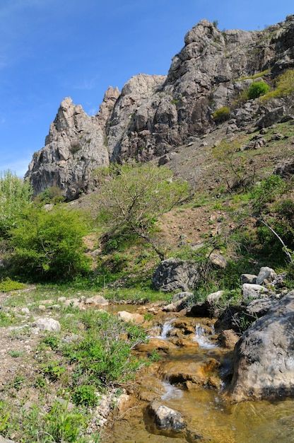 Gebirgsbach fließt auf den Felsen durch Steine Felsen veränderten ihre Farbe durch Kontakt mit Wasser