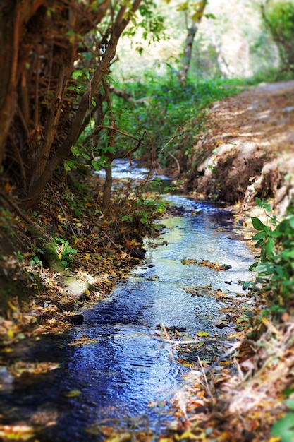 Gebirgsbach im Herbst