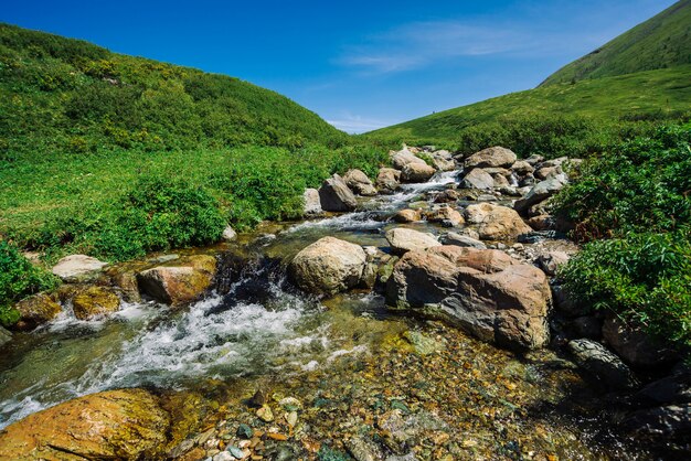 Gebirgsbach mit großen Felsblöcken im sonnigen grünen Tal nahe Hügeln unter blauem Himmel. Sauberer Wasserstrahl im schnellen Bach im Sonnenlicht. Erstaunliche Landschaft der Altai-Natur.