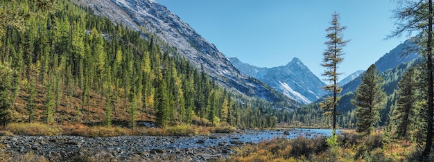 Gebirgsfluss an einem sonnigen Herbsttag panoramisch