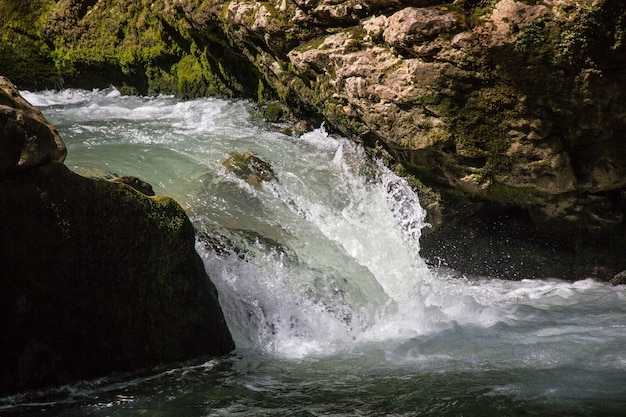 Gebirgsfluss, der durch den grünen Wald und viele Steine fließt.