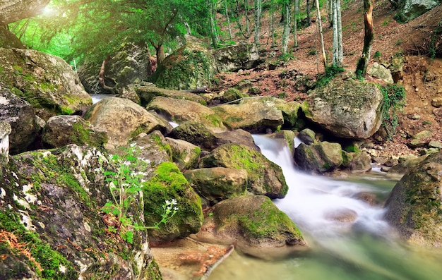 Gebirgsfluss im Frühjahr. Ein Wasserstrahl im Wald- und Berggelände