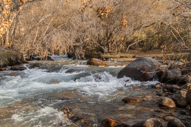 Gebirgsfluss im Herbst mit brodelndem Wasser und nassen SteinenLandschaft