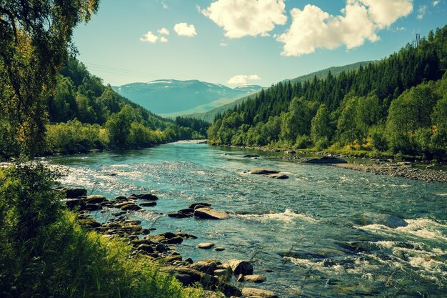 Gebirgsfluss im Herbst Norwegen