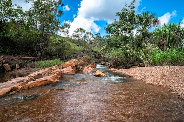 Gebirgsfluss im tropischen Regenwald