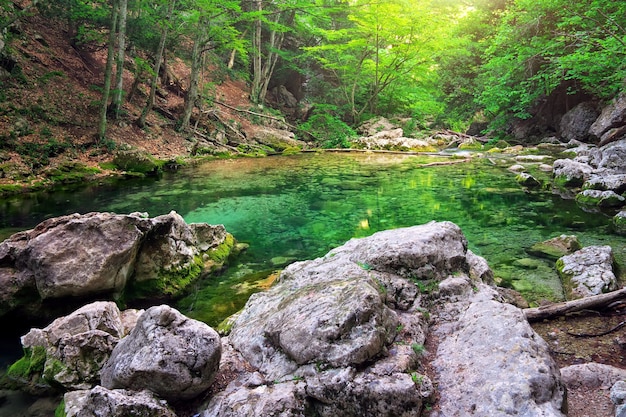 Gebirgsfluss im Wald- und Berggelände. Krim, der Grand Canyon