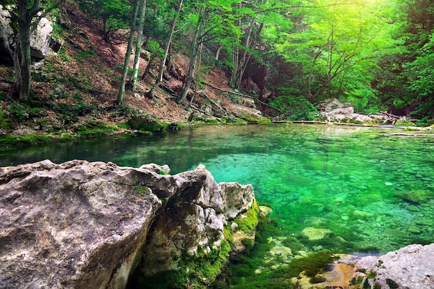 Gebirgsfluss im Wald- und Berggelände.