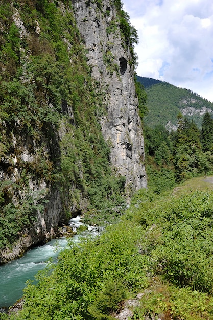 Gebirgsfluss in Abchasien