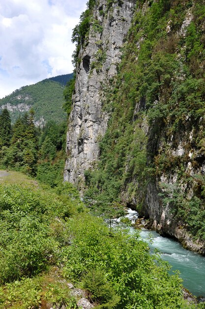 Gebirgsfluss in Abchasien