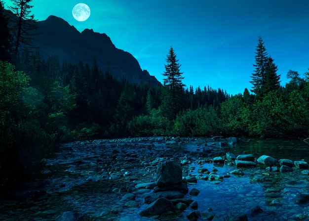 Gebirgsfluss in der Hohen Tatra, Slowakei bei Nacht