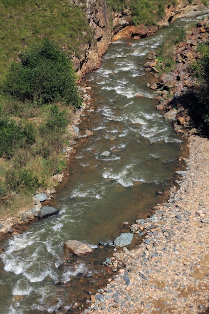 Gebirgsfluss mit schnellem Fluss im Kaukasus