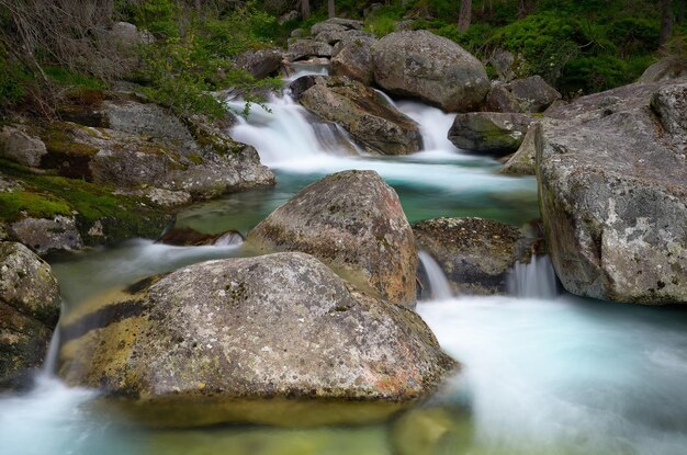 Gebirgsfluss mit schönen Kaskaden