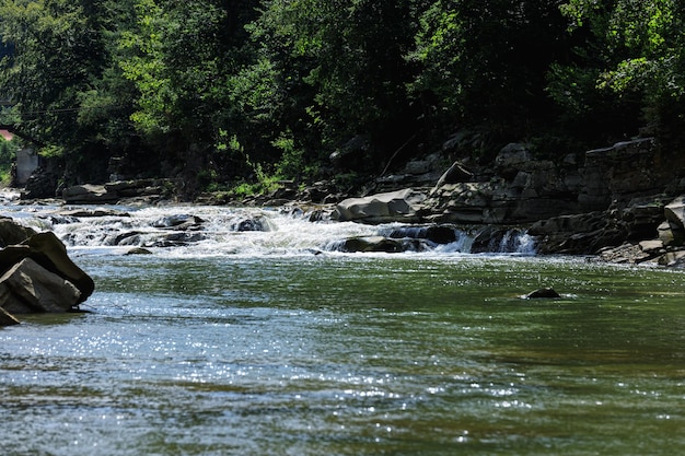 Gebirgsfluss mit Stromschnellen, großen Steinen, üppiger Vegetation an den Ufern an einem sonnigen Tag