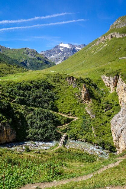 Gebirgsfluss und Holzbrücke im Alpental des Vanoise-Nationalparks, Savoie, französische Alpen