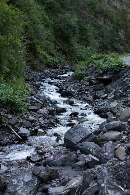 Gebirgsfluss und viele Steine