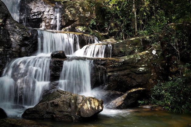 Gebirgsflusshintergrund mit kleinen Wasserfällen im tropischen Wald.