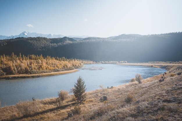 Gebirgsflusslandschaft